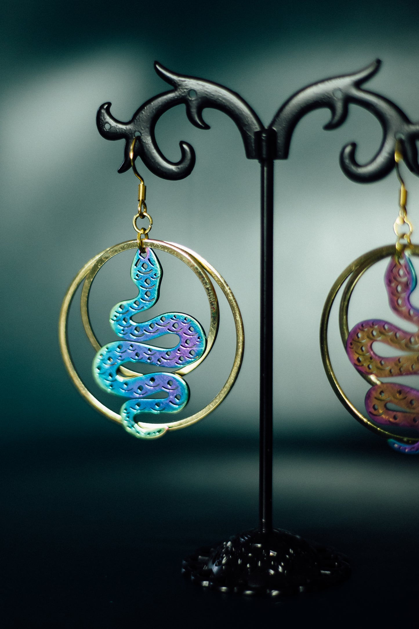 Rainbow Snakes w/hoops