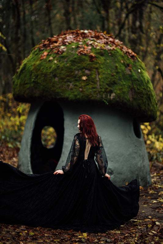 Black Velvet W/ Celestial Sleeves