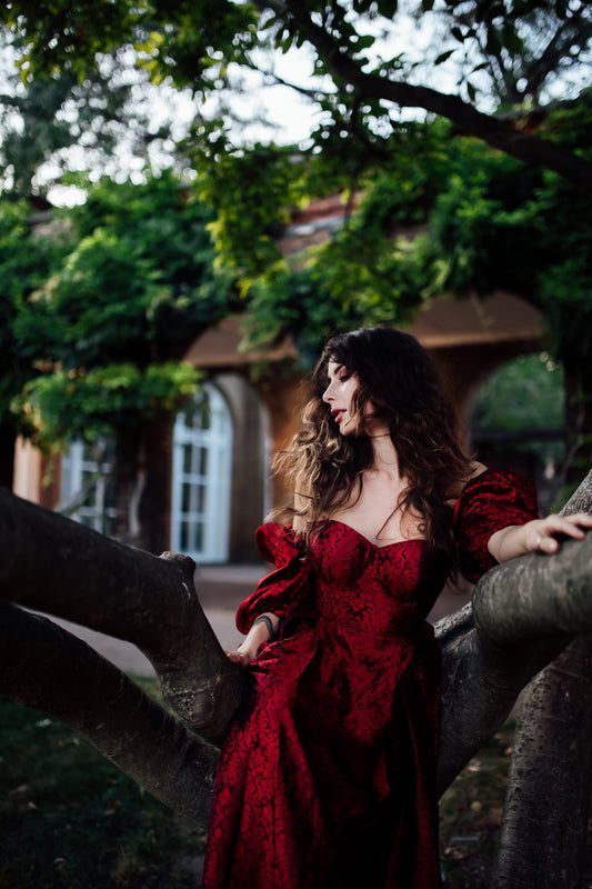 Amarantha Dress (PLEASE READ DESCRIPTION)